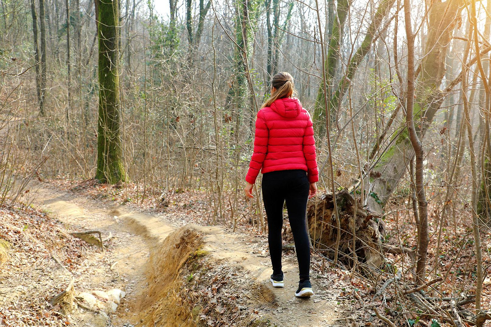 Women walking in the woods